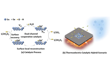 A breakthrough approach to hydrogen peroxide synthesis: Defect-enhanced catalysis in SnSe nanosheets 2025.100679